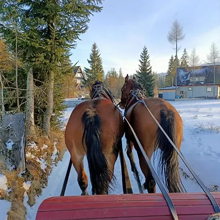 Anielki Mountain Escape In *