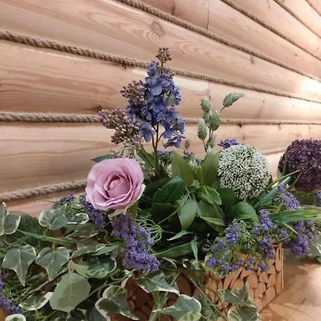 Apartamento Anielki Mountain Escape In *