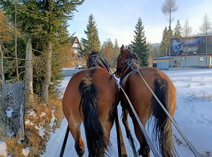 Anielki Mountain Escape In *